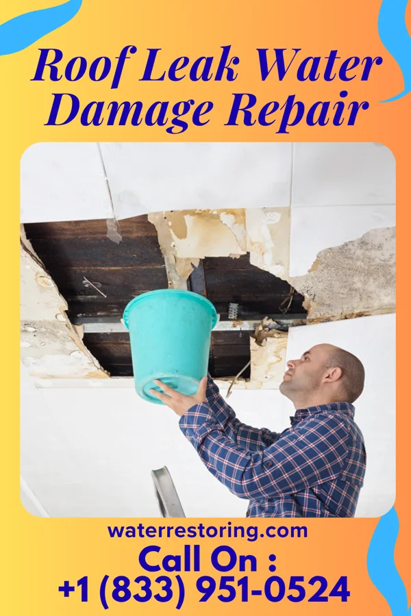 Roof Leak Water Damage Repair in Lake Arrowhead, ME